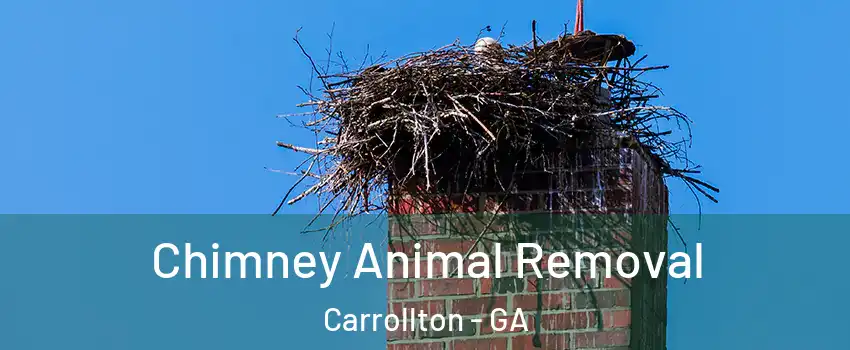  Chimney Animal Removal Carrollton - GA