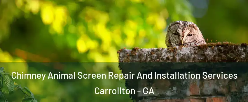  Chimney Animal Screen Repair And Installation Services Carrollton - GA