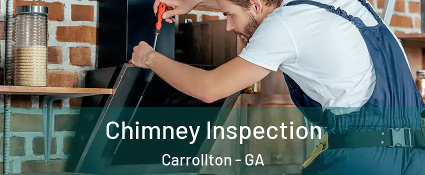  Chimney Inspection Carrollton - GA