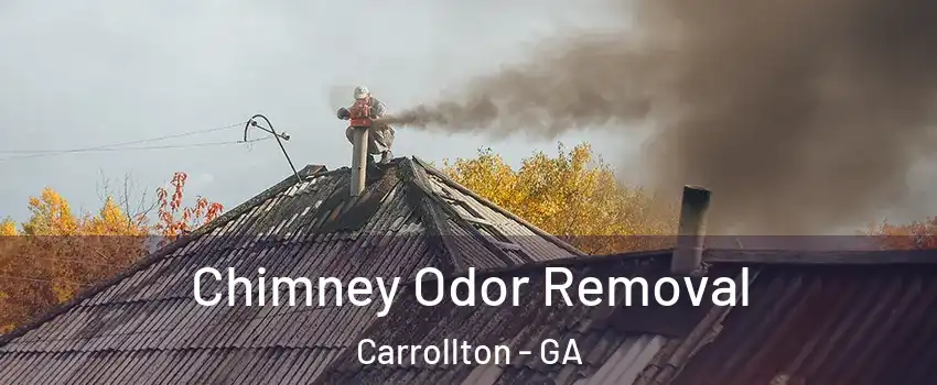  Chimney Odor Removal Carrollton - GA