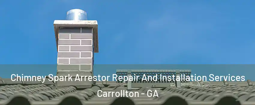  Chimney Spark Arrestor Repair And Installation Services Carrollton - GA