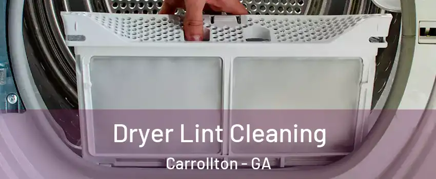  Dryer Lint Cleaning Carrollton - GA