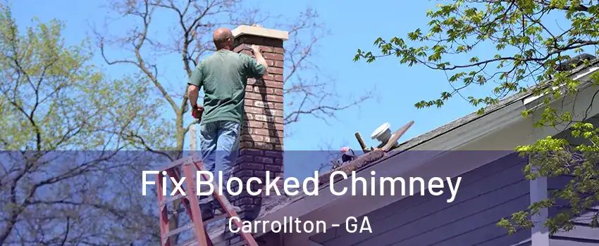  Fix Blocked Chimney Carrollton - GA