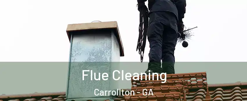  Flue Cleaning Carrollton - GA