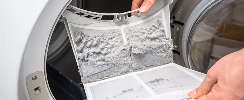 Best Dryer Lint Removal Company in Carrollton, Georgia
