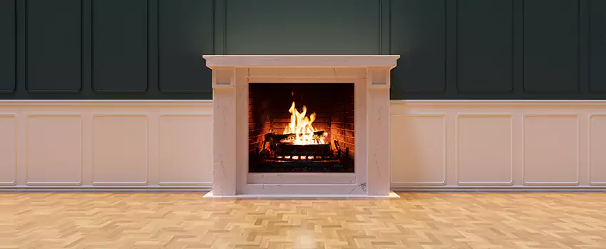 Napoleon Electric Fireplaces Inspection Service in Carrollton, Georgia