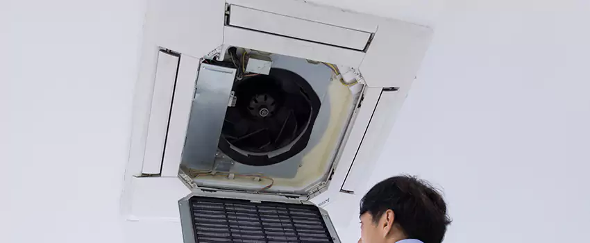 Benefits of Professional Air Duct Cleaning in Carrollton, Georgia