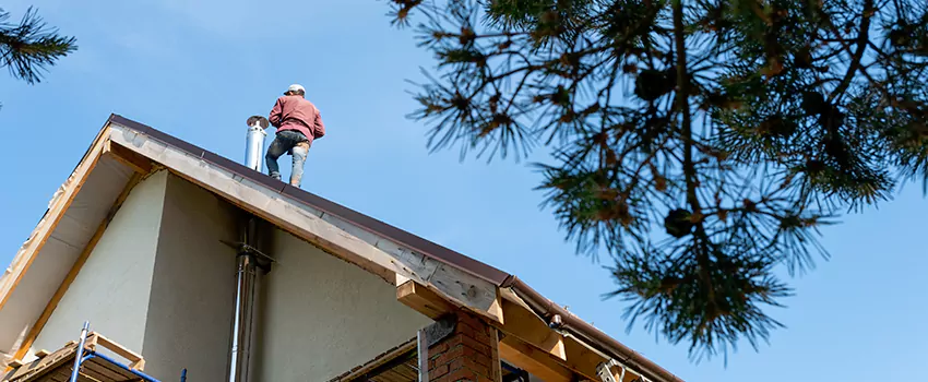 Birds Removal Contractors from Chimney in Carrollton, GA