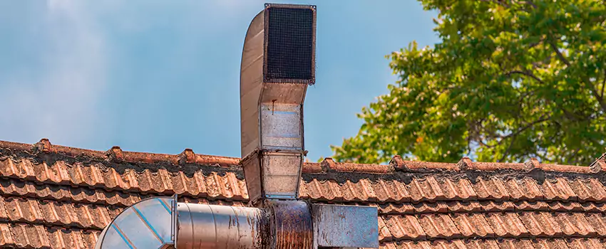 Chimney Blockage Removal in Carrollton, Georgia