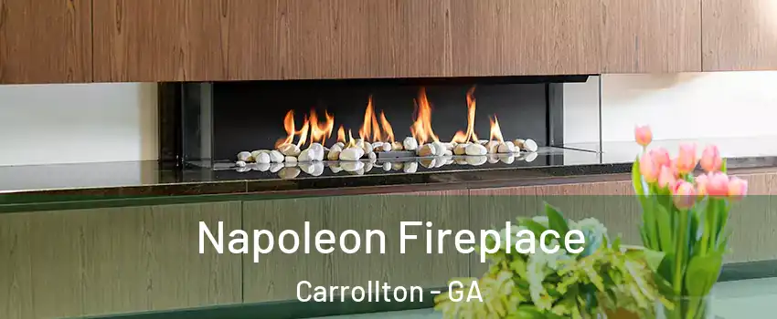 Napoleon Fireplace Carrollton - GA